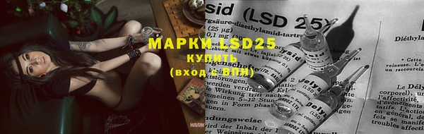 прущие крисы Бугульма