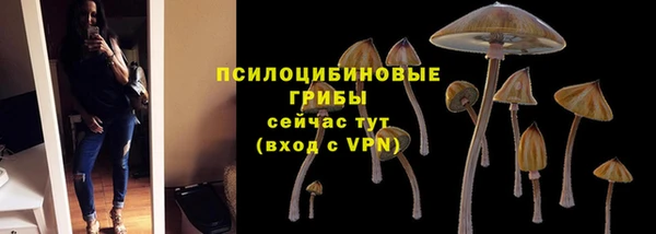 гидропоника Верхнеуральск
