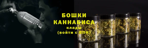 прущие крисы Бугульма