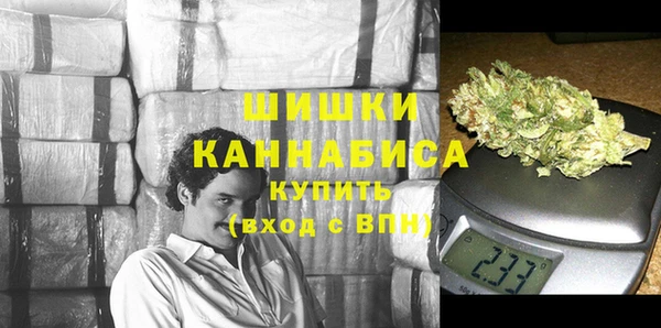 стаф Бронницы