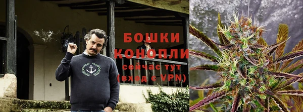 стаф Бронницы