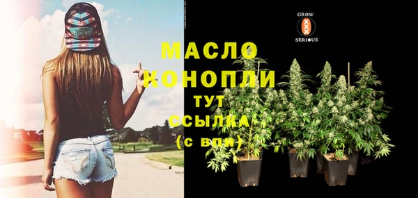 mix Бородино